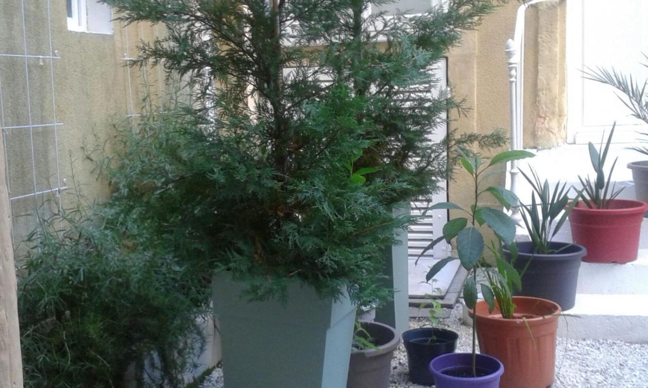 D'hote, 3 Pieces 90m2 Appartement *